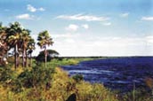 See in Paraguay See in Paraguay